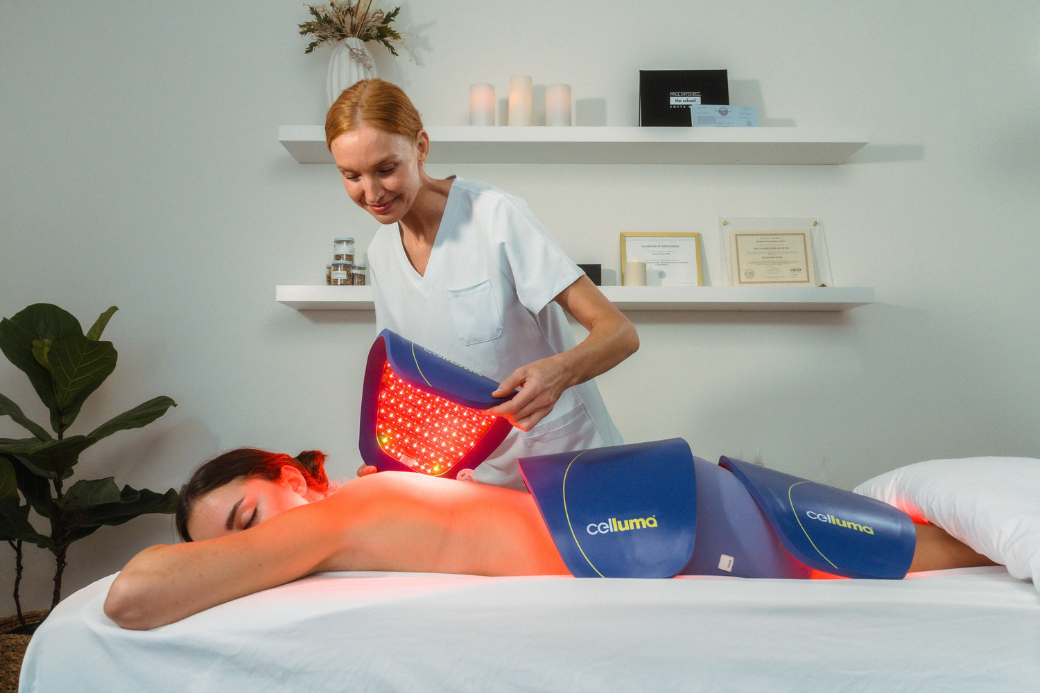 Applicazione professionsita dei 3 pannelli Contour